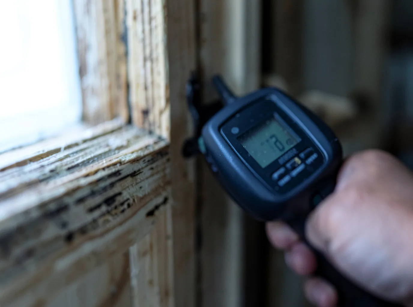 Water Damage Restoration Ash Fork, AZ FAQs